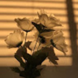 Meet your Posher, Emerlyn